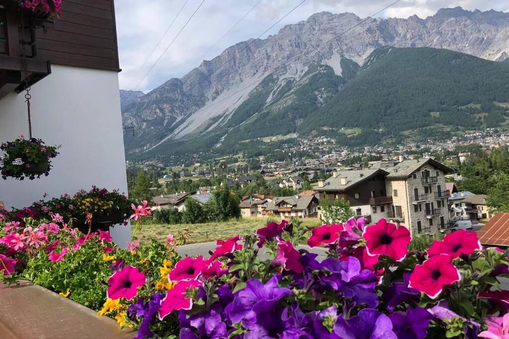 Appartamento A Due Passi Da Bormio Valdisotto Exterior photo
